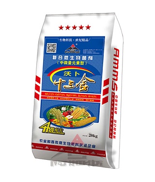 沃卜十三金
