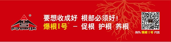 我为爆根代言1803212