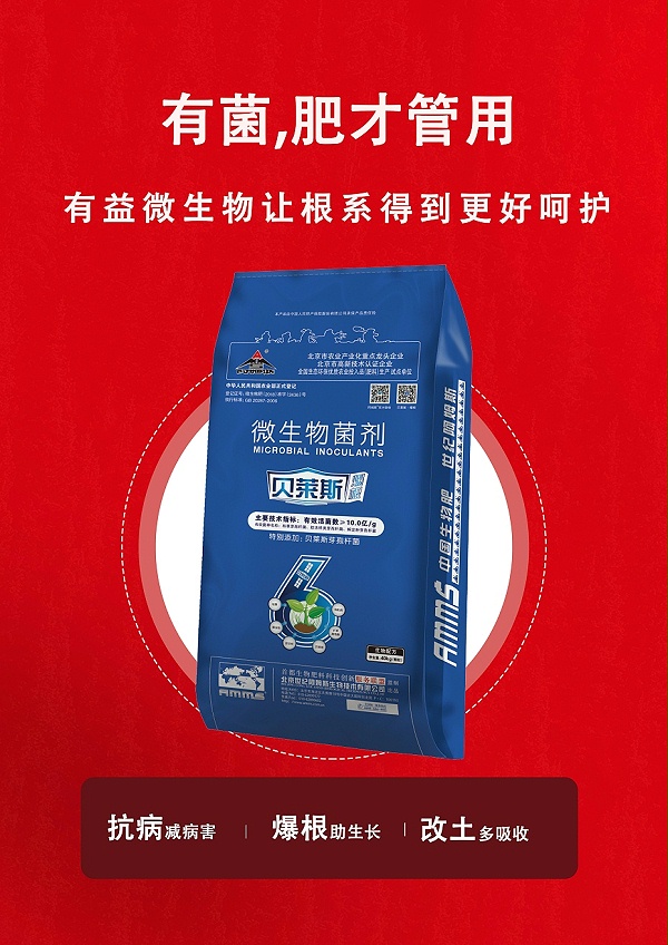 贝莱斯5(40kg)