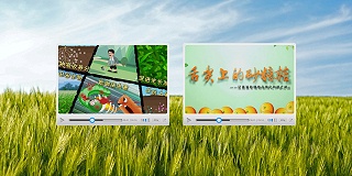北京世纪阿姆斯微生物生产工艺动画+品牌化种植之—舌尖上的砂糖桔