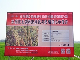 生物改良剂重金属污染稻田修复实测试