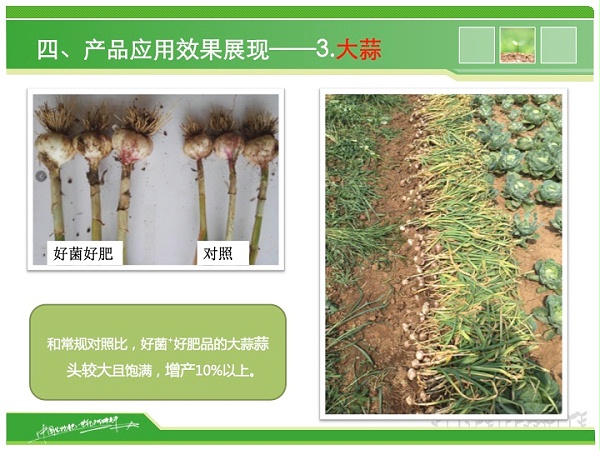 幻灯片19