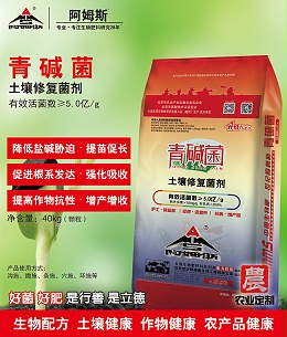 40kg青碱菌