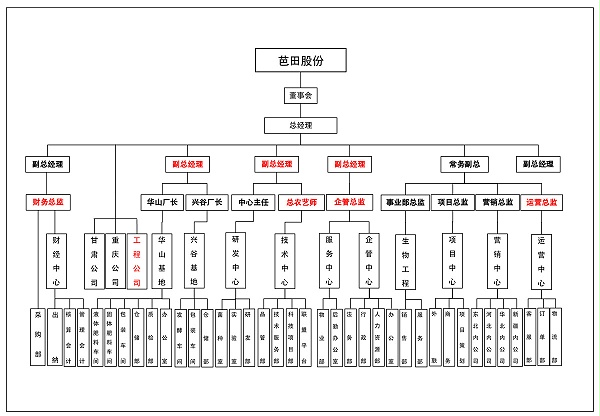 公司架构