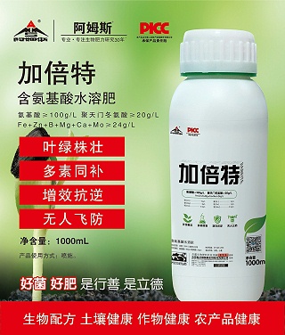1000mL加倍特