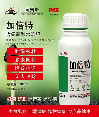 500mL加倍特