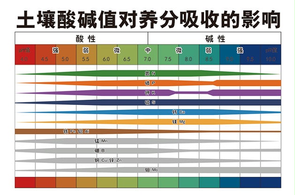 未标题-2