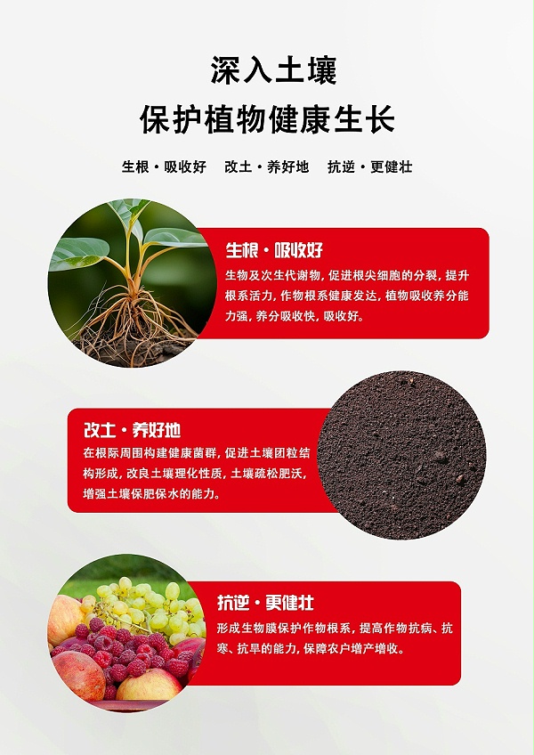 液体爆根3