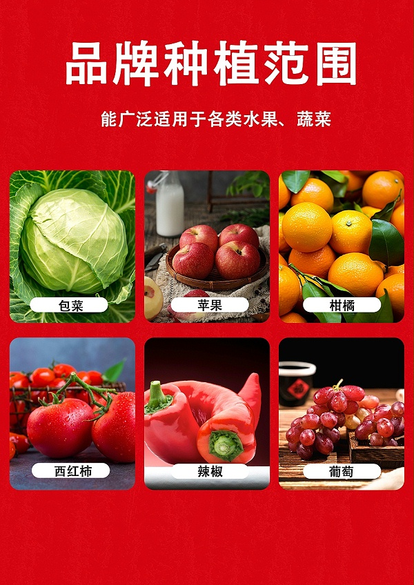 液体爆根6