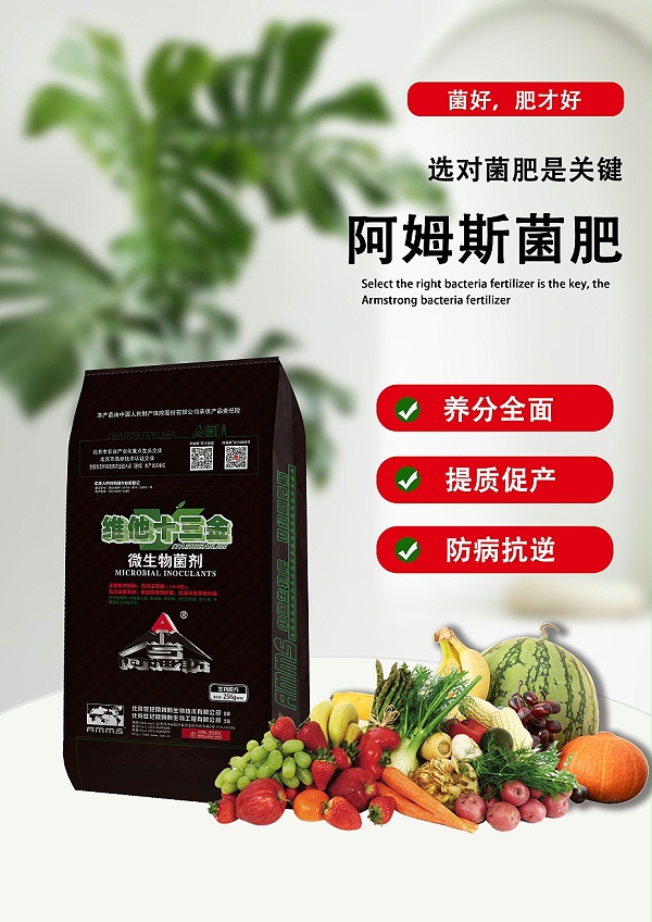 维他十三金2