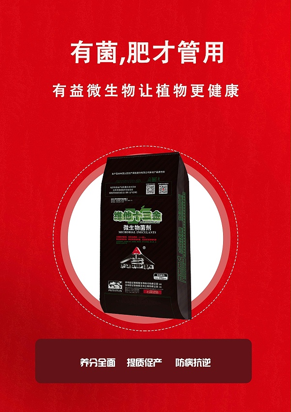 维他十三金5