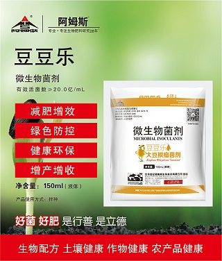 豆豆乐