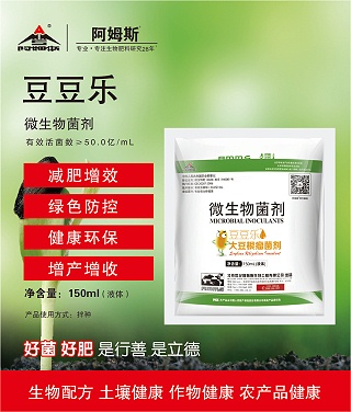 豆豆乐