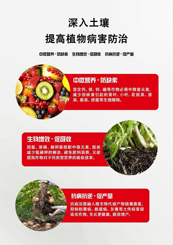 果美3