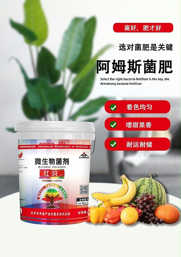 红润2