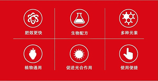 红润4