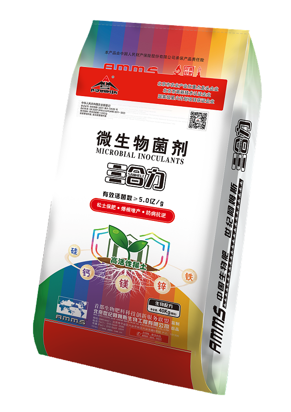 三合力包袋效果图正20240801