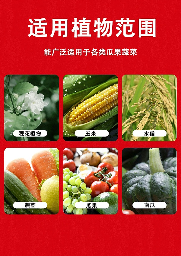 三合力6