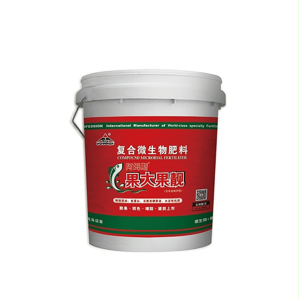 果大果靓