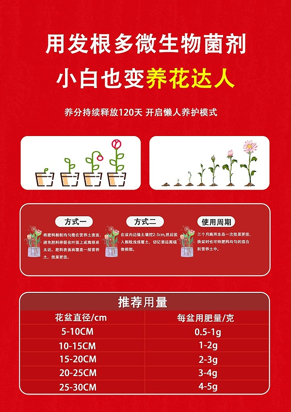 发根多8