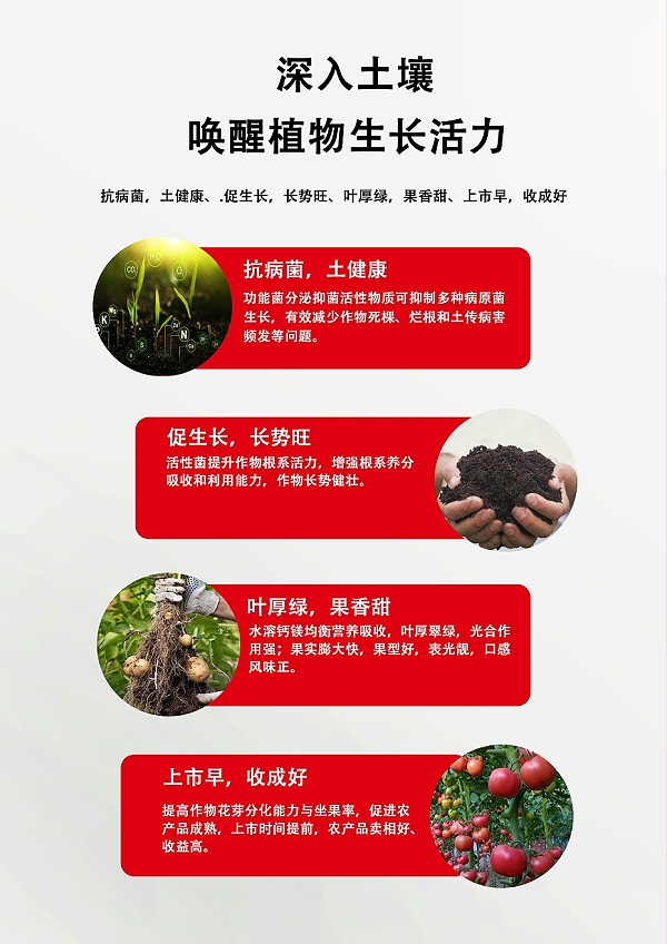 菌令壮3