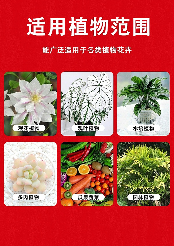 菌令壮6