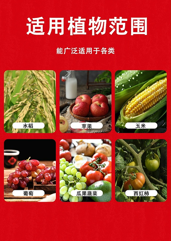 沃能十三金-6