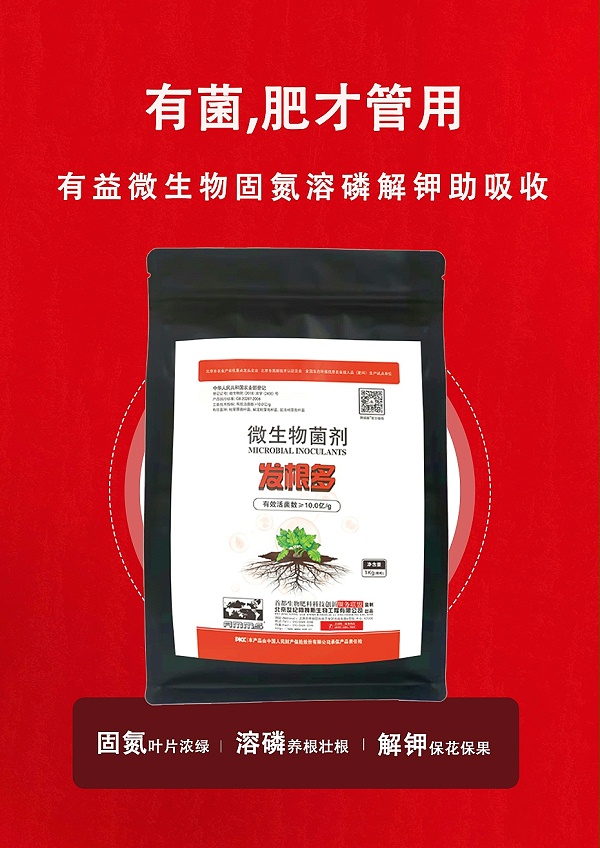 发根多5