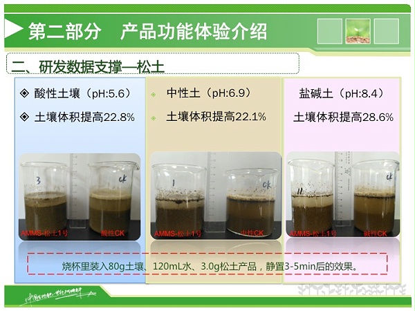 幻灯片10