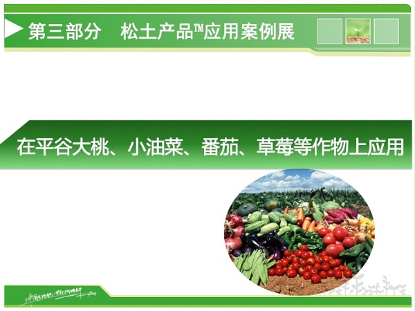 幻灯片16
