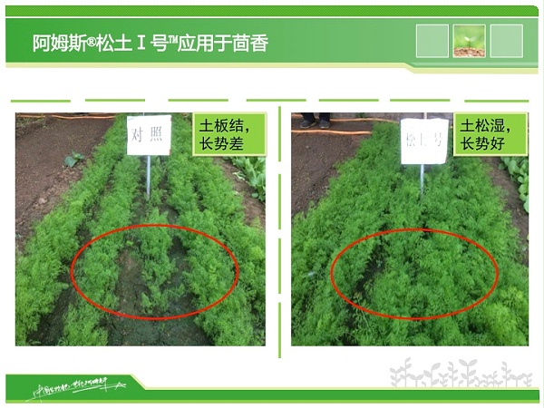 幻灯片21