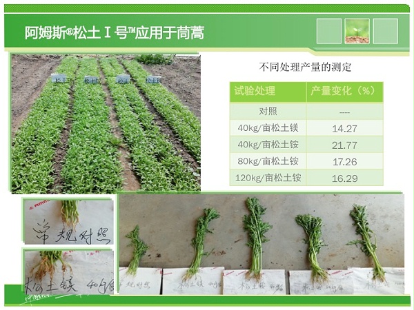 幻灯片22