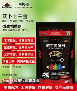 1kg沃卜十三金4.0