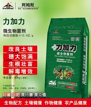 力加力