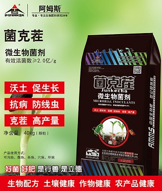 菌克茬