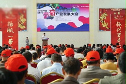 走进中国最早熟葡萄产区!2018中国(建水)葡萄产业发展大会开幕! 走进中国最早熟葡萄产区!2018中国(建水)葡萄产业发展大会开幕!