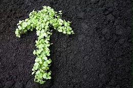 2020年怎么买肥料才能不上当受骗？
