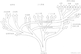 【科普小课堂】生命三域学说的诞生