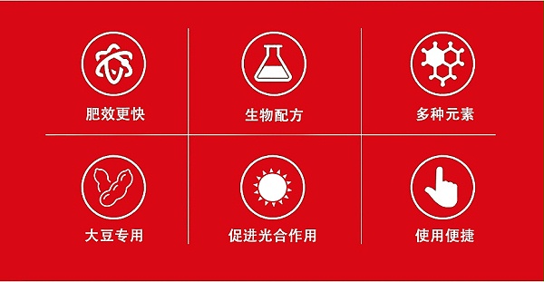 豆豆乐4