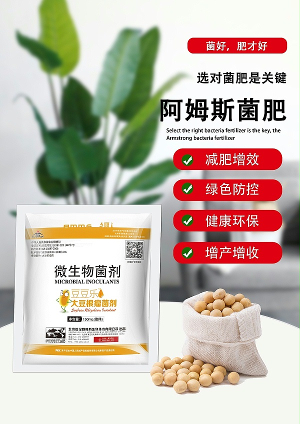 豆豆乐20亿-2