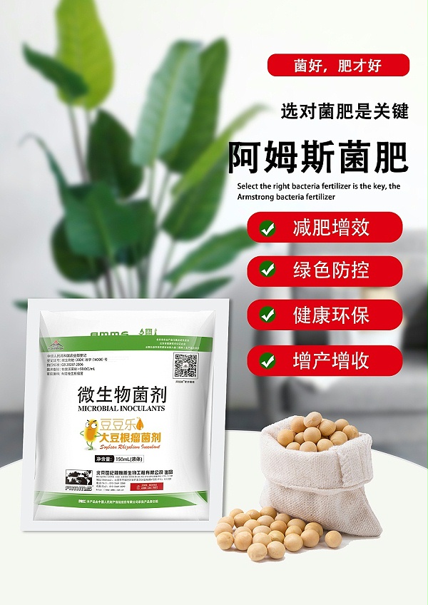 豆豆乐50亿-2
