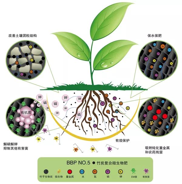 复合微生物肥料到底有多“牛”？用数据告诉你