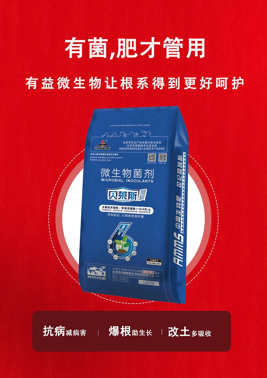 贝莱斯5(40kg)