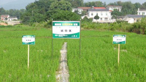 生物改良剂重金属污染稻田修复实验
