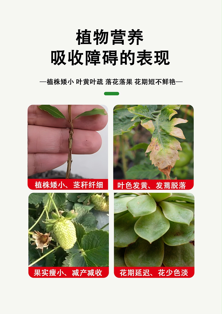 易喷红1