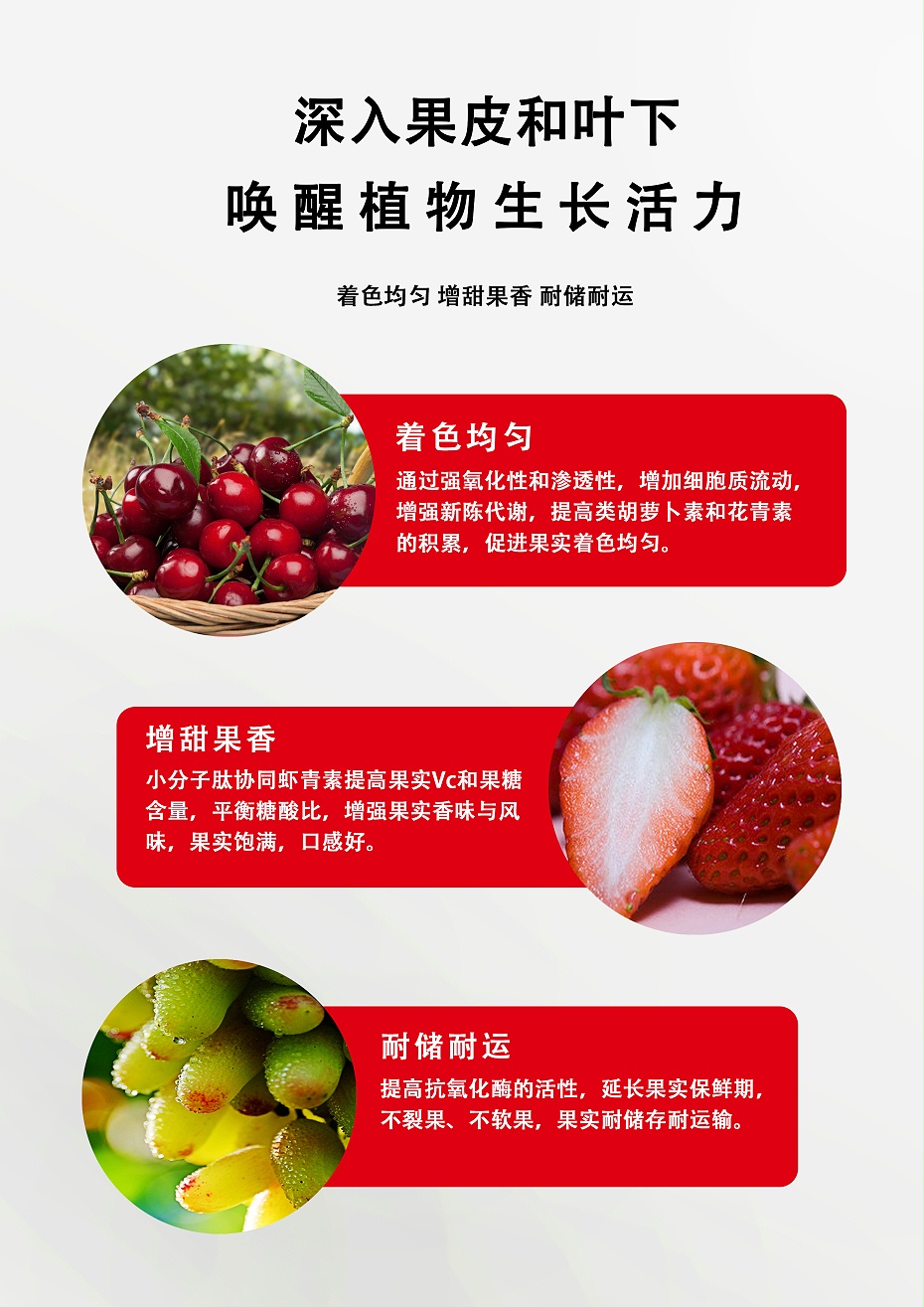 易喷红3