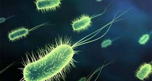 微生物肥料将成土壤生态修复主力军