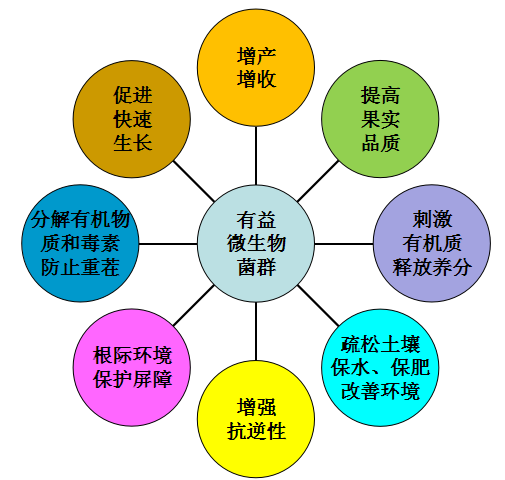 微生物肥料的作用