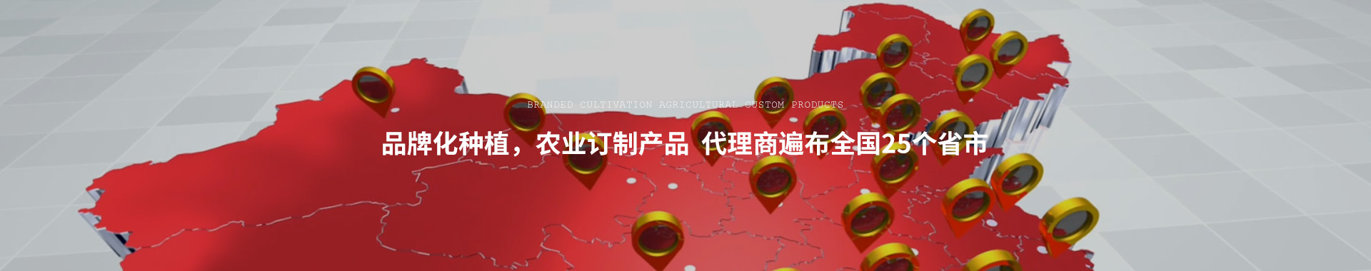 复合微生物肥料代理