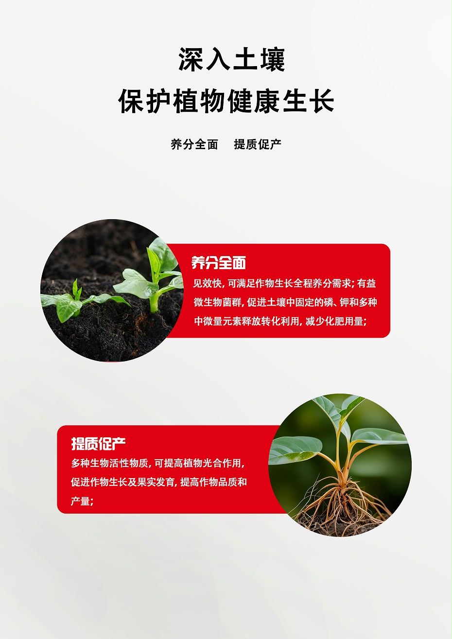 维他十三金3